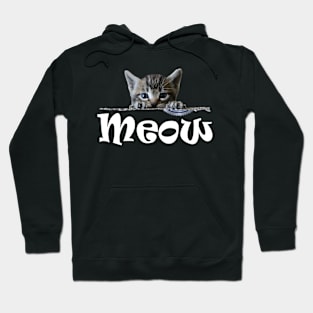 Cute Kittens Cats Meow Hoodie